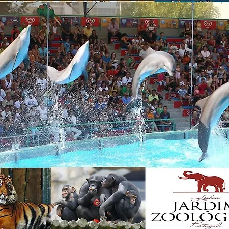 Apartamento Zoo Garage *